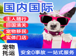 杭州萧山航空空运国际宠物托运 【国